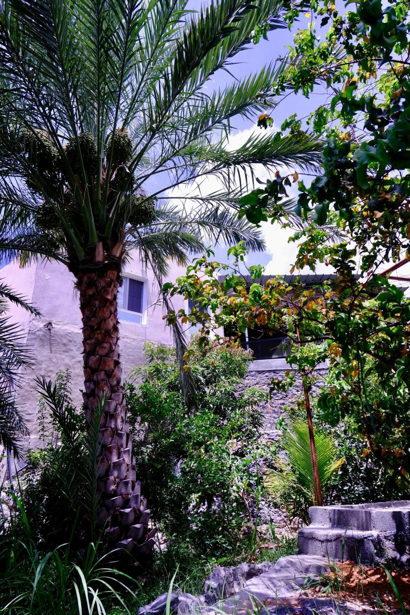 Holiday home Albustan House *