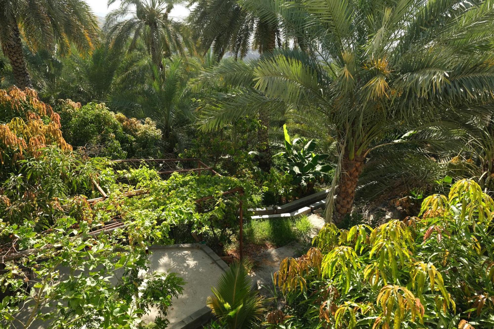 Albustan House Misfah